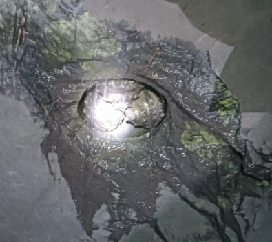 [field:title function='html2text(@me)'/]